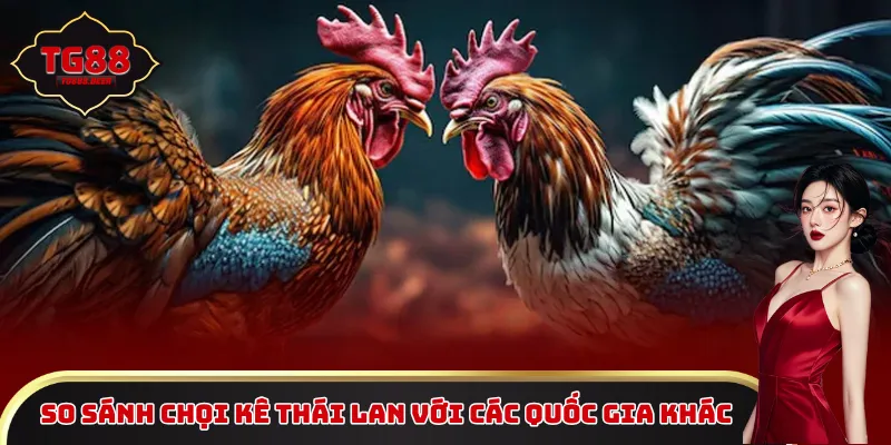 So sánh chọi kê Thái Lan so với các quốc gia Đông Nam Á